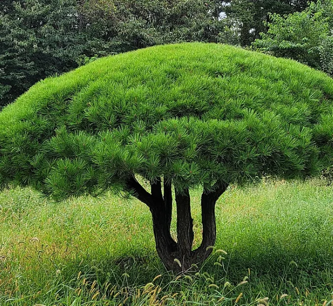 반송